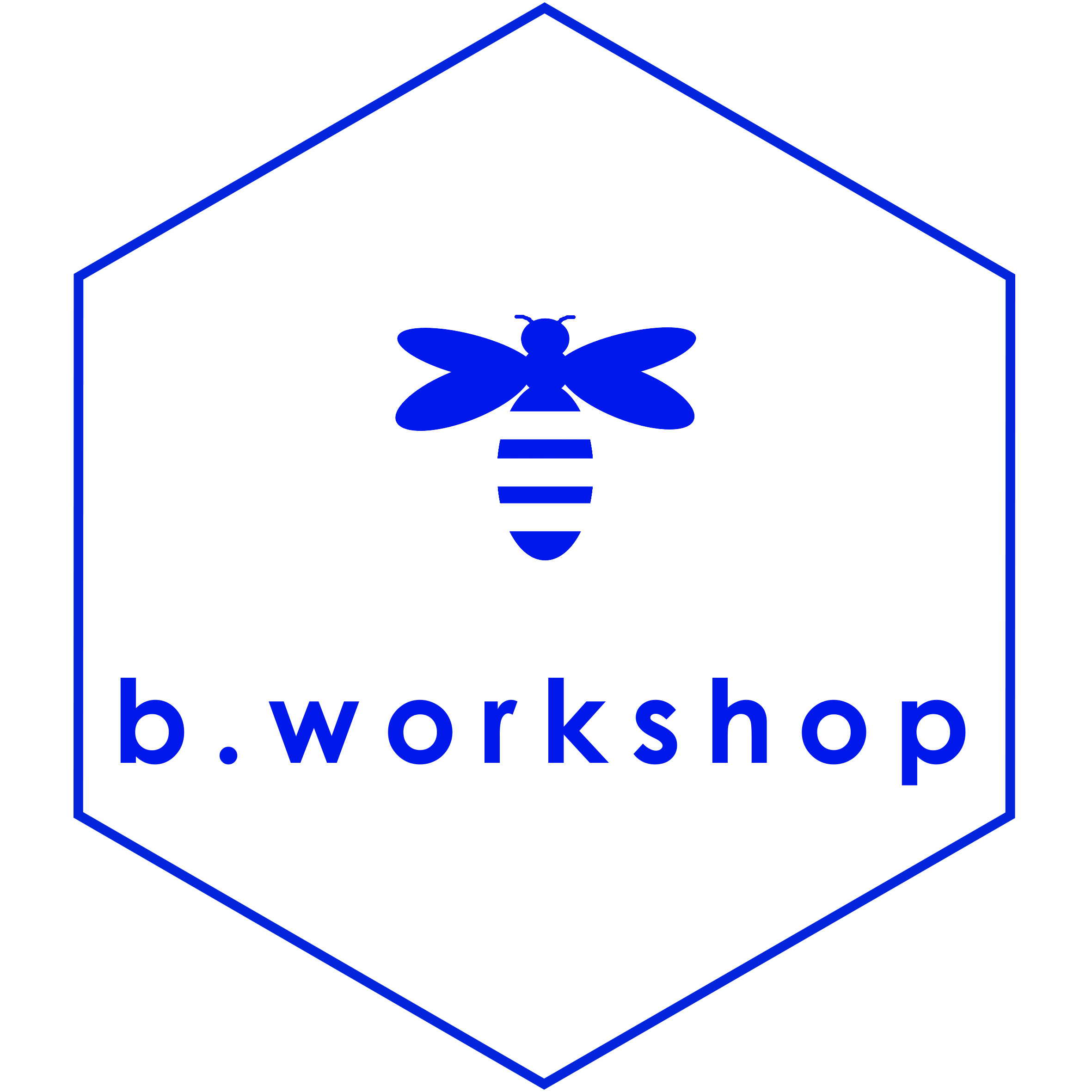 1767090342_bworkshop.jpg
